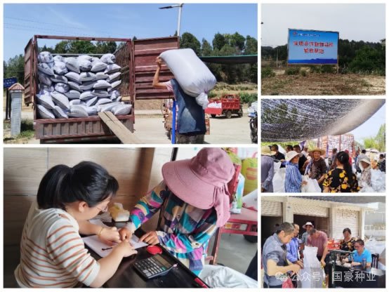 国豪种业奏响五月丰收曲  高效收贮助力乡村振兴.jpg